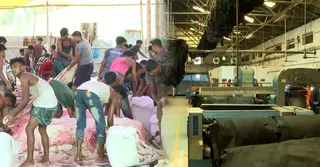 সনদ না থাকায় চামড়ার রপ্তানি ব্যাহত; আমদানিতে ঝুঁকছেন ব্যবসায়ীরা